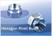 Hexagon Rivet Bush