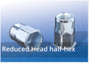 Reduced Head Half Hexagon Rivet Nuts