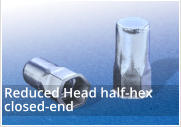 Reduced Head Half Hexagon Closed End Rivet Nuts 