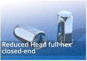 Reduced Head Full Hexagon Closed End Rivet Nuts 