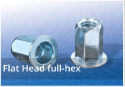 Flat Head Full Hexagon Rivet Nuts